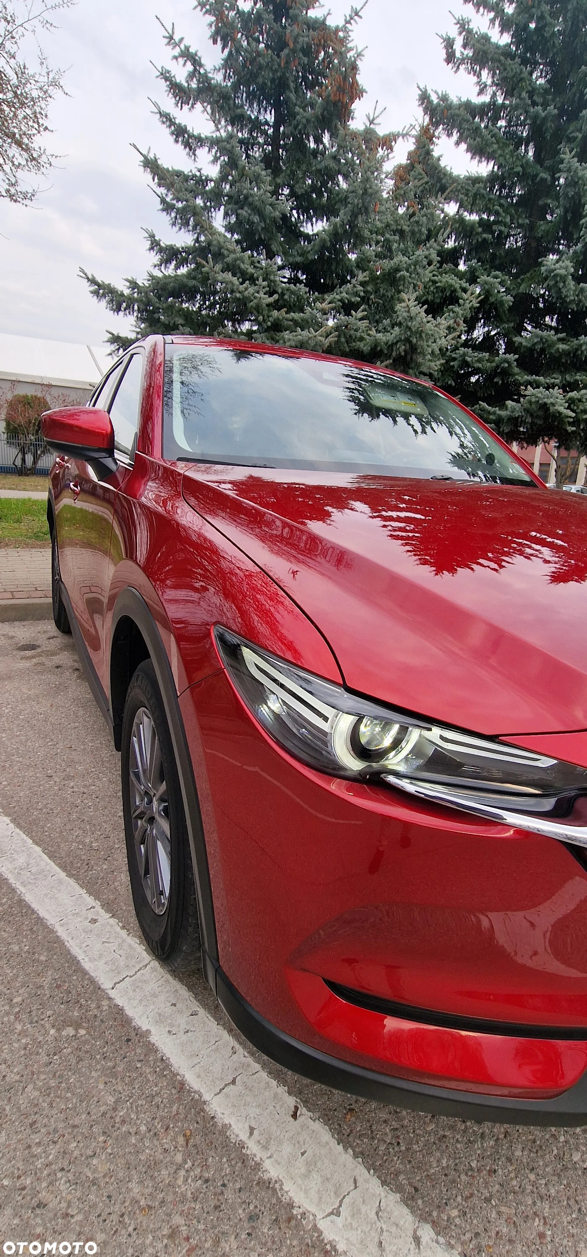 Mazda CX-5 - 8