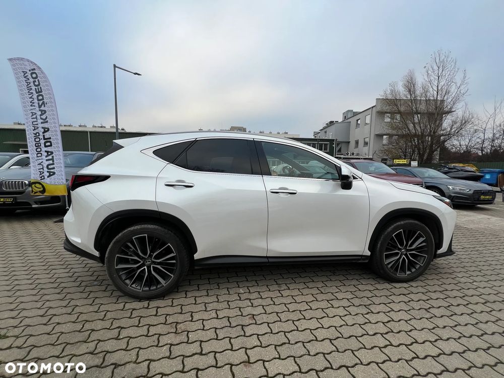 Lexus NX - 10
