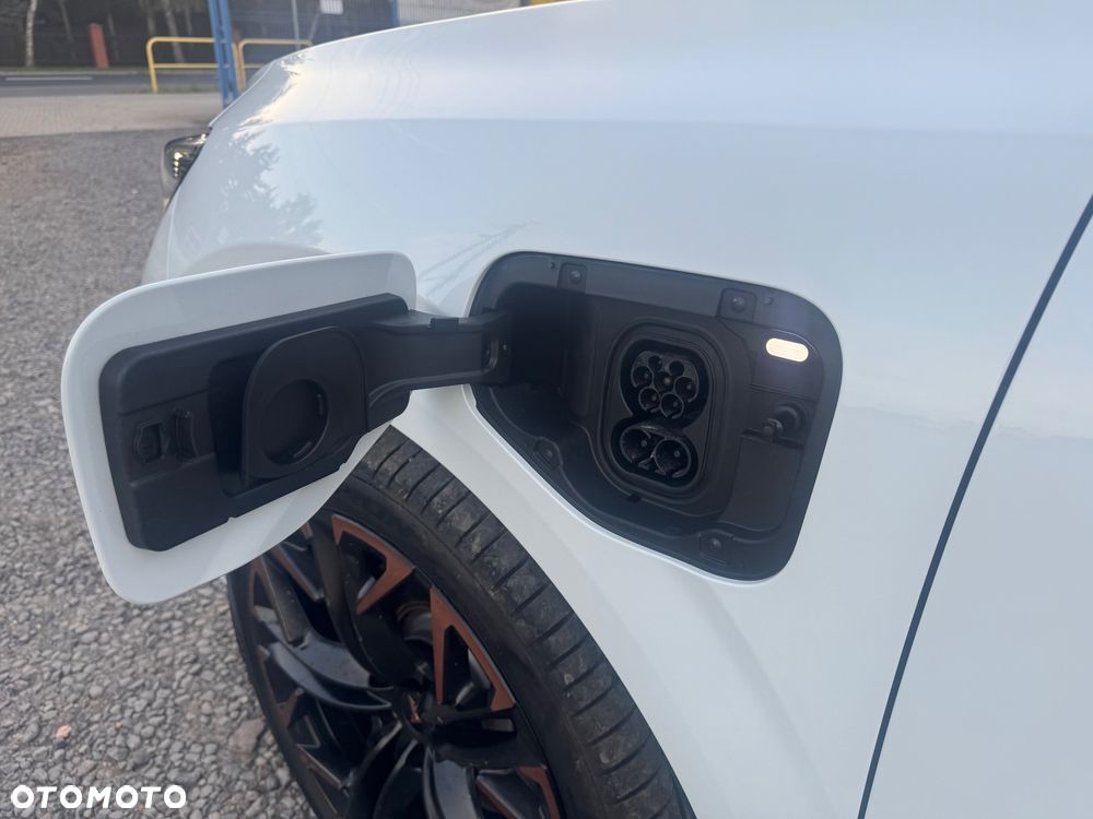 Cupra Terramar - 10