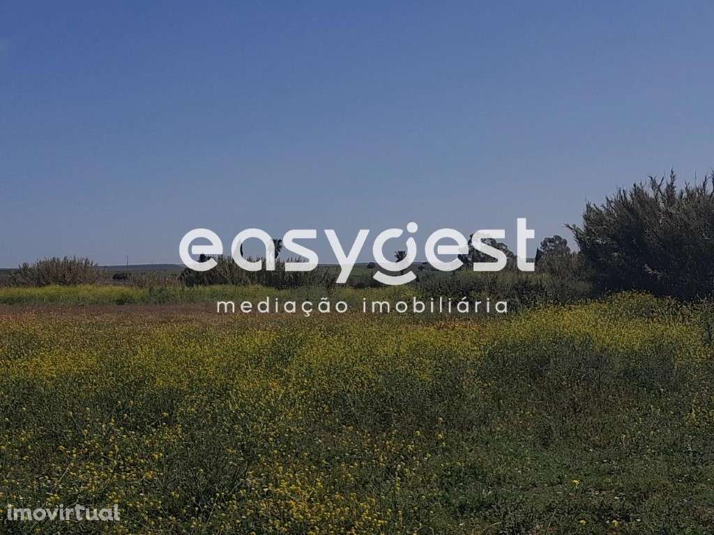 Terreno em Beja com 20.000 m2, acesso pela Estrada Nacional - Grande imagem: 5/41