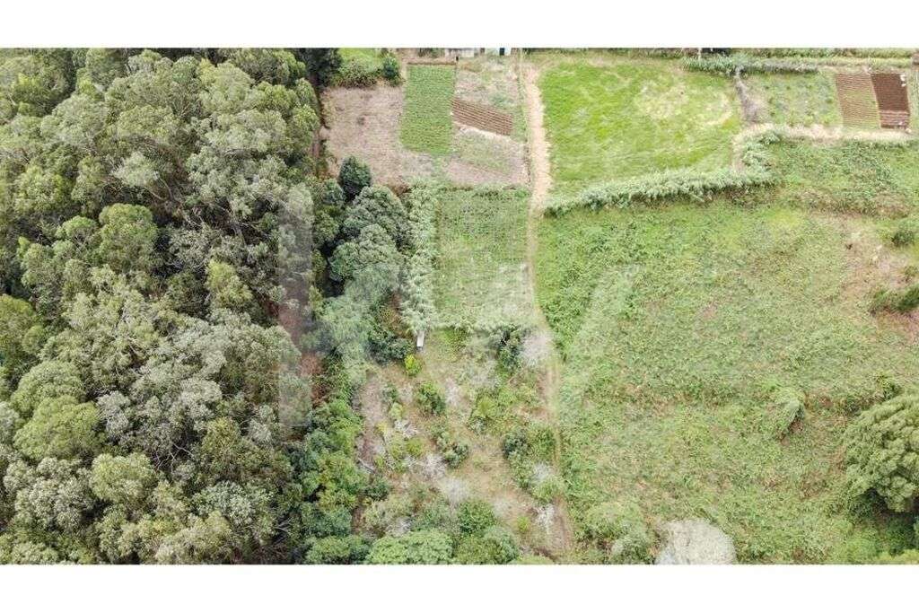 TERRENO PARA CONSTRUÇÃO E ECO-TURISMO | SANTA - PORTO MONIZ - ILHA DA - Grande imagem: 4/11