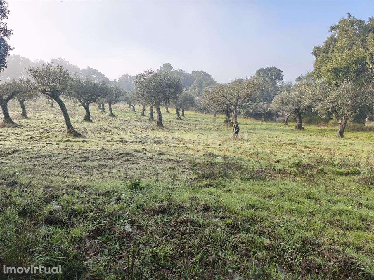 Terreno / Fundão, Telhado - Grande imagem: 5/8