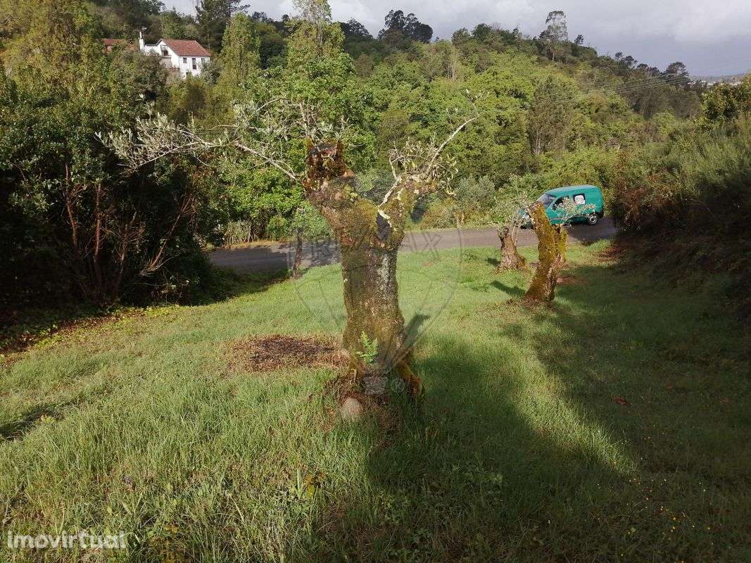 Terreno  para venda - Grande imagem: 4/4