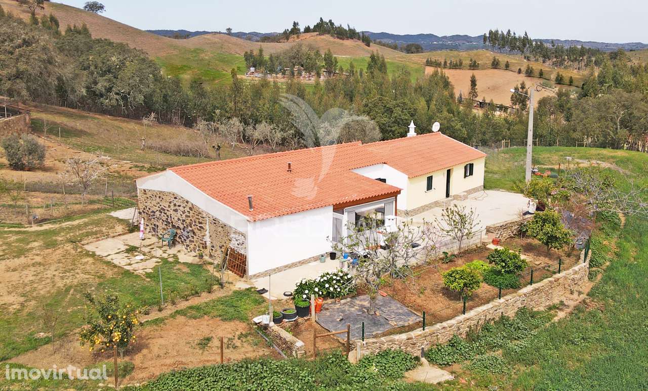Quinta com 7,500 ha em São Martinho das Amoreiras - Grande imagem: 2/25