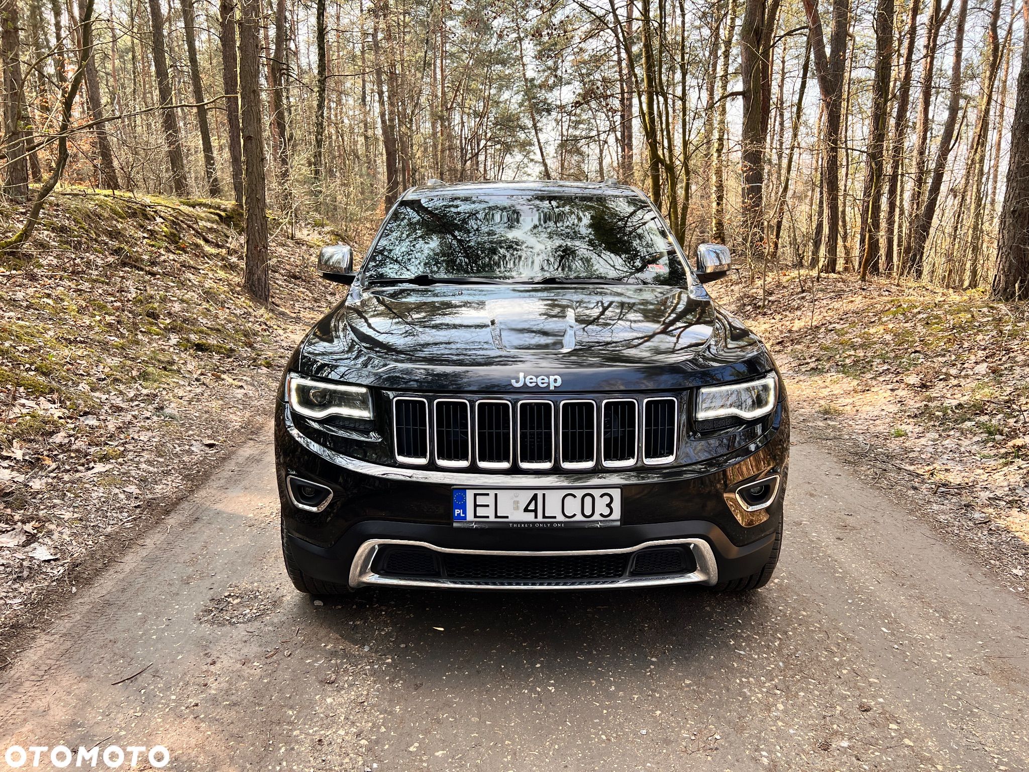 Jeep Grand Cherokee 3.6 V6 Limited - 1