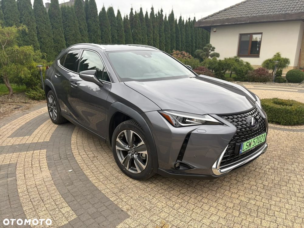 Lexus UX 300e 54.3 kWh Business Edition 2WD - 2