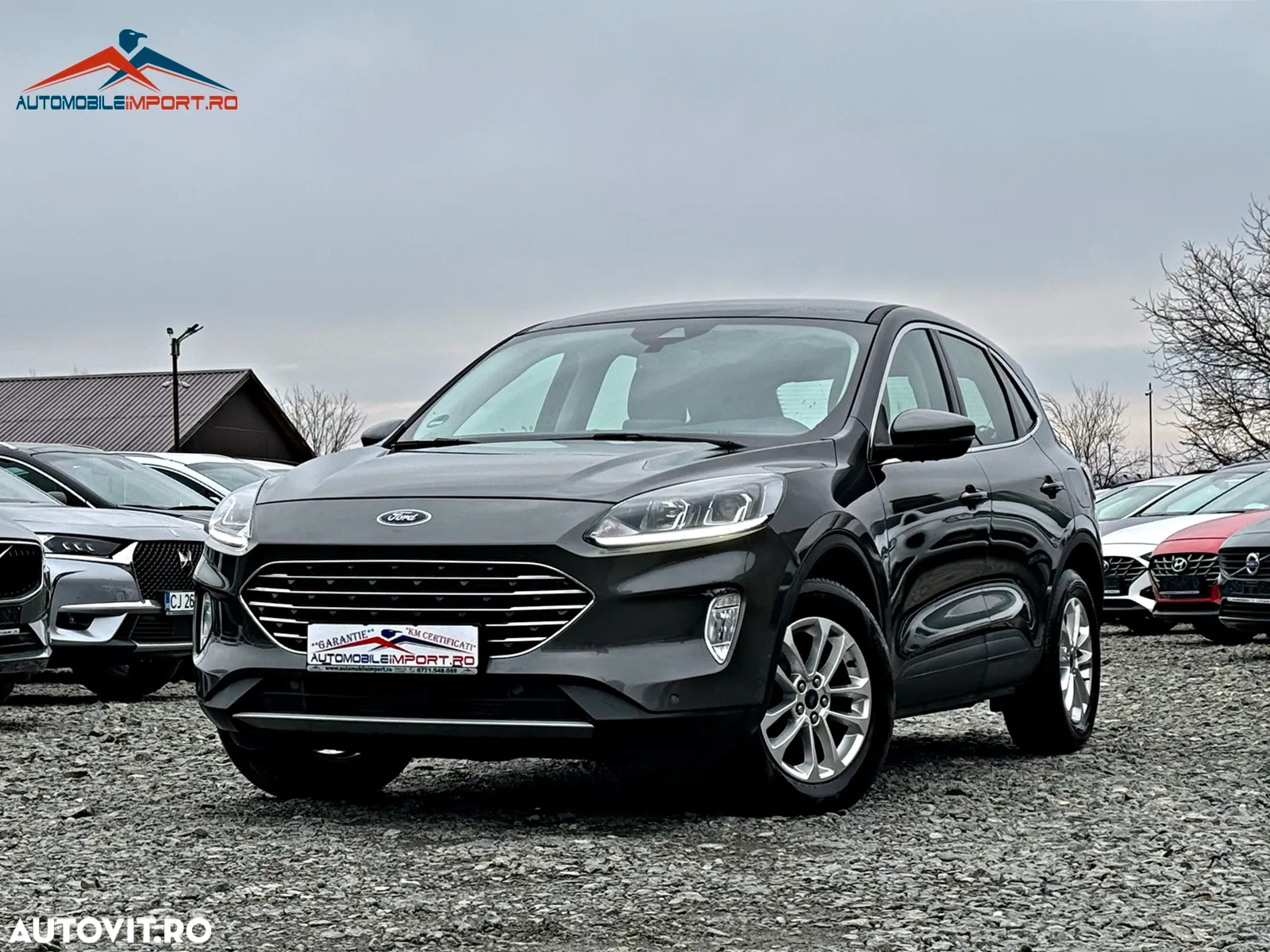 Ford Kuga 2.0 EcoBlue 4x4 Aut. TITANIUM - 2