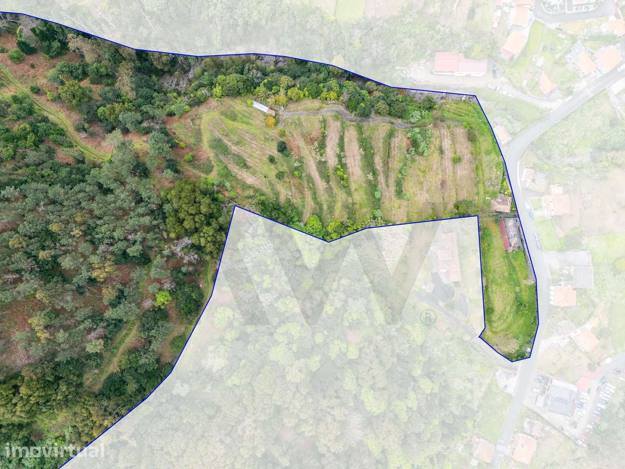 Terreno com 70.000 m2, na freguesia de São Vicente. - Grande imagem: 3/19