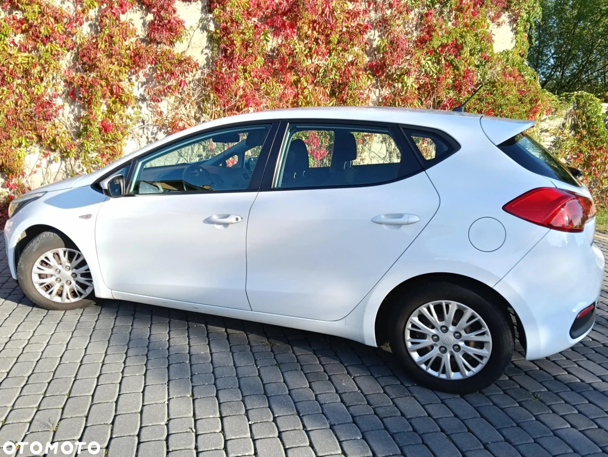 Kia Ceed Cee'd 1.4 CRDi M - 2