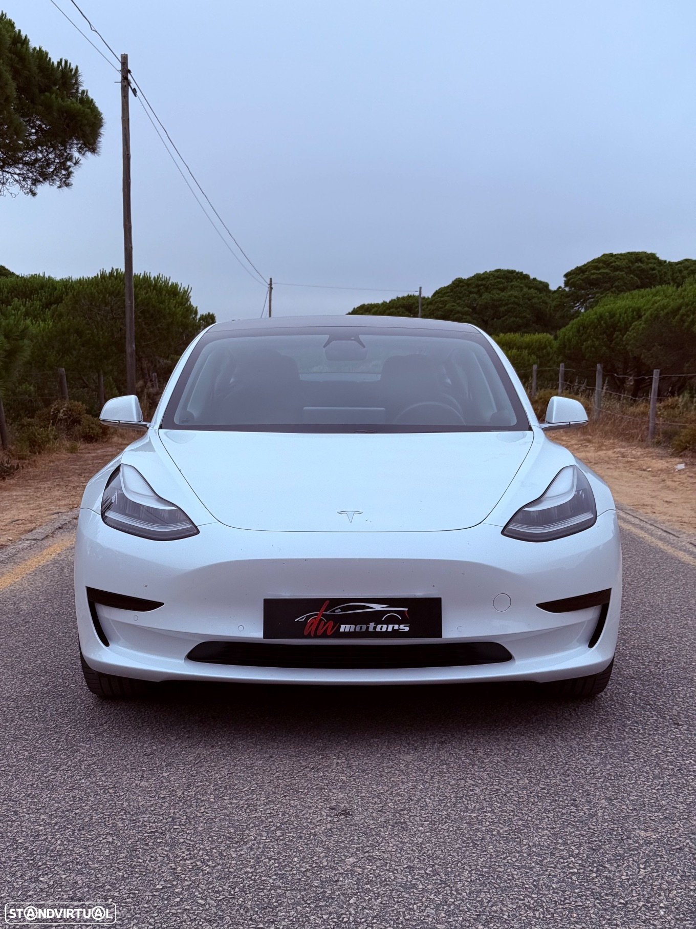 Tesla Model 3 Standard RWD Plus - 4