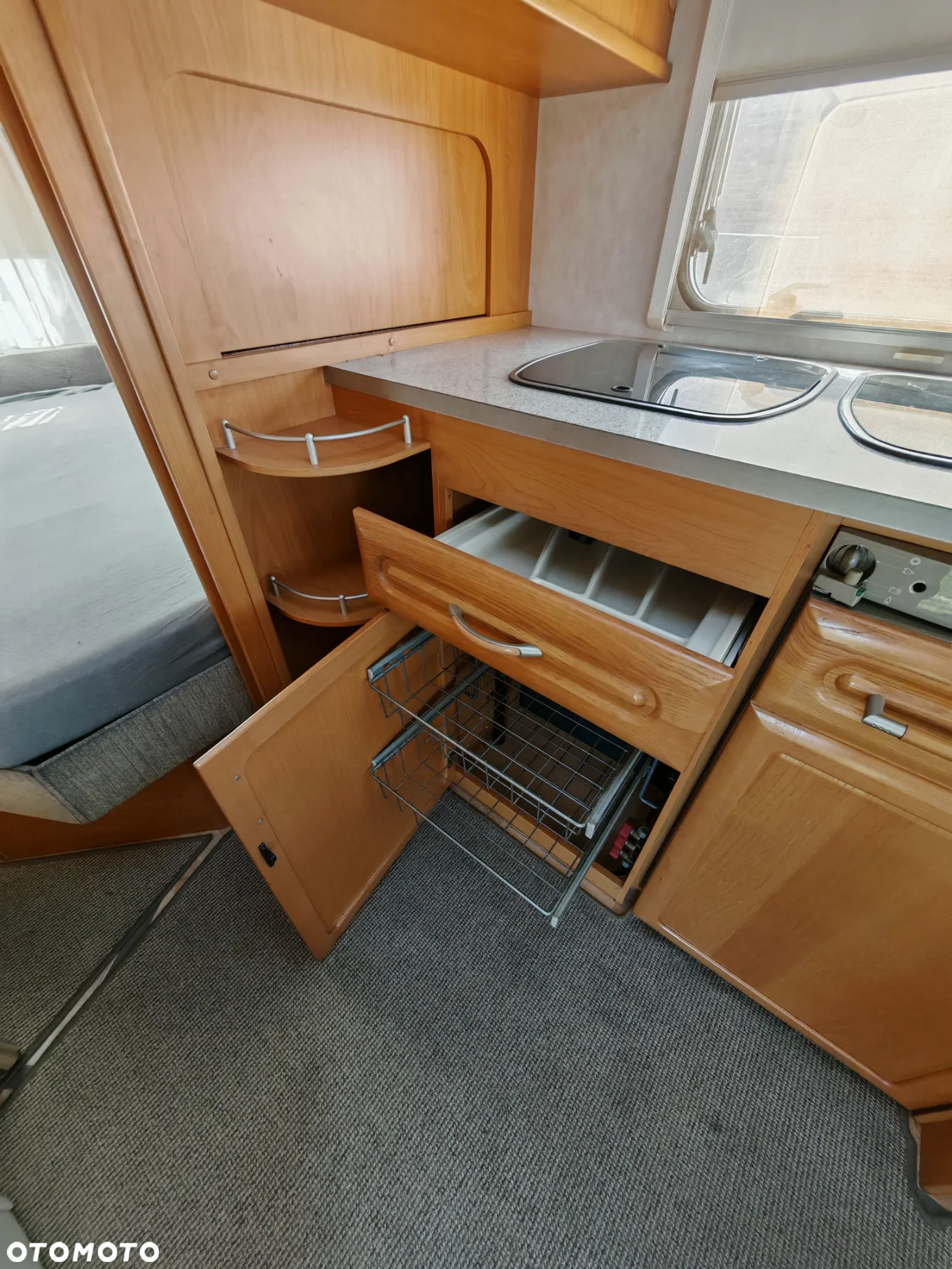 Wilk 490 - 31