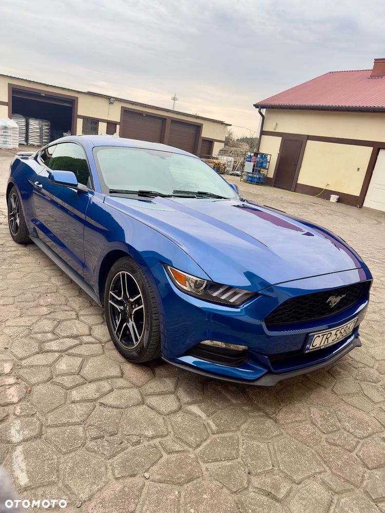 Ford Mustang 3.7 V6 - 5
