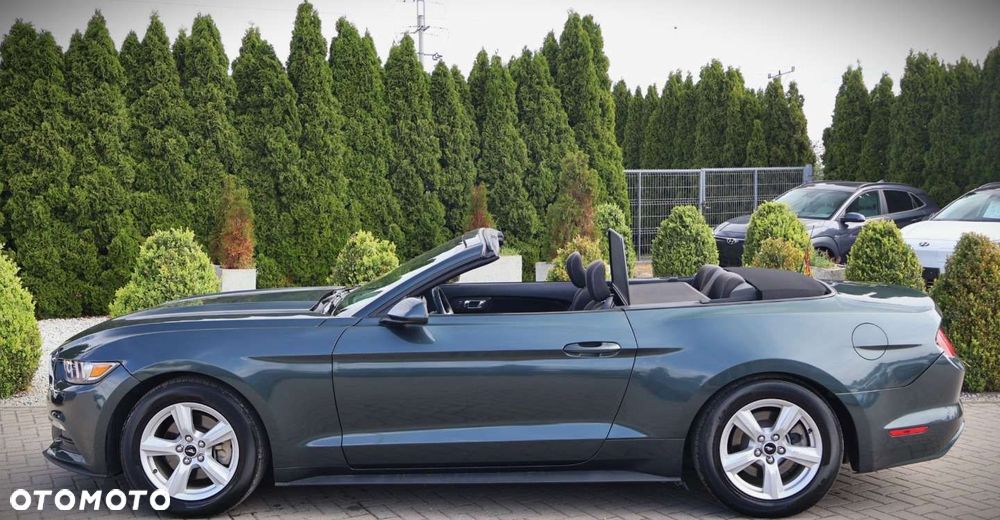 Ford Mustang - 19