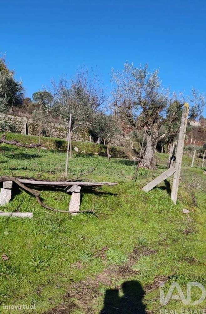 Terreno em Oliveira do Hospital e São Paio de Gramaços - Grande imagem: 4/6