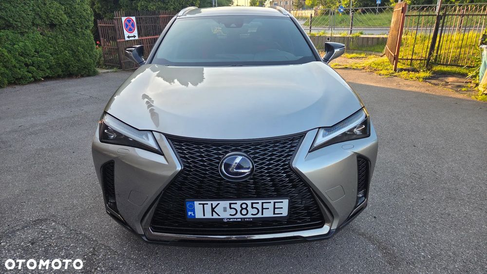 Lexus UX 250h F Sport 2WD - 12