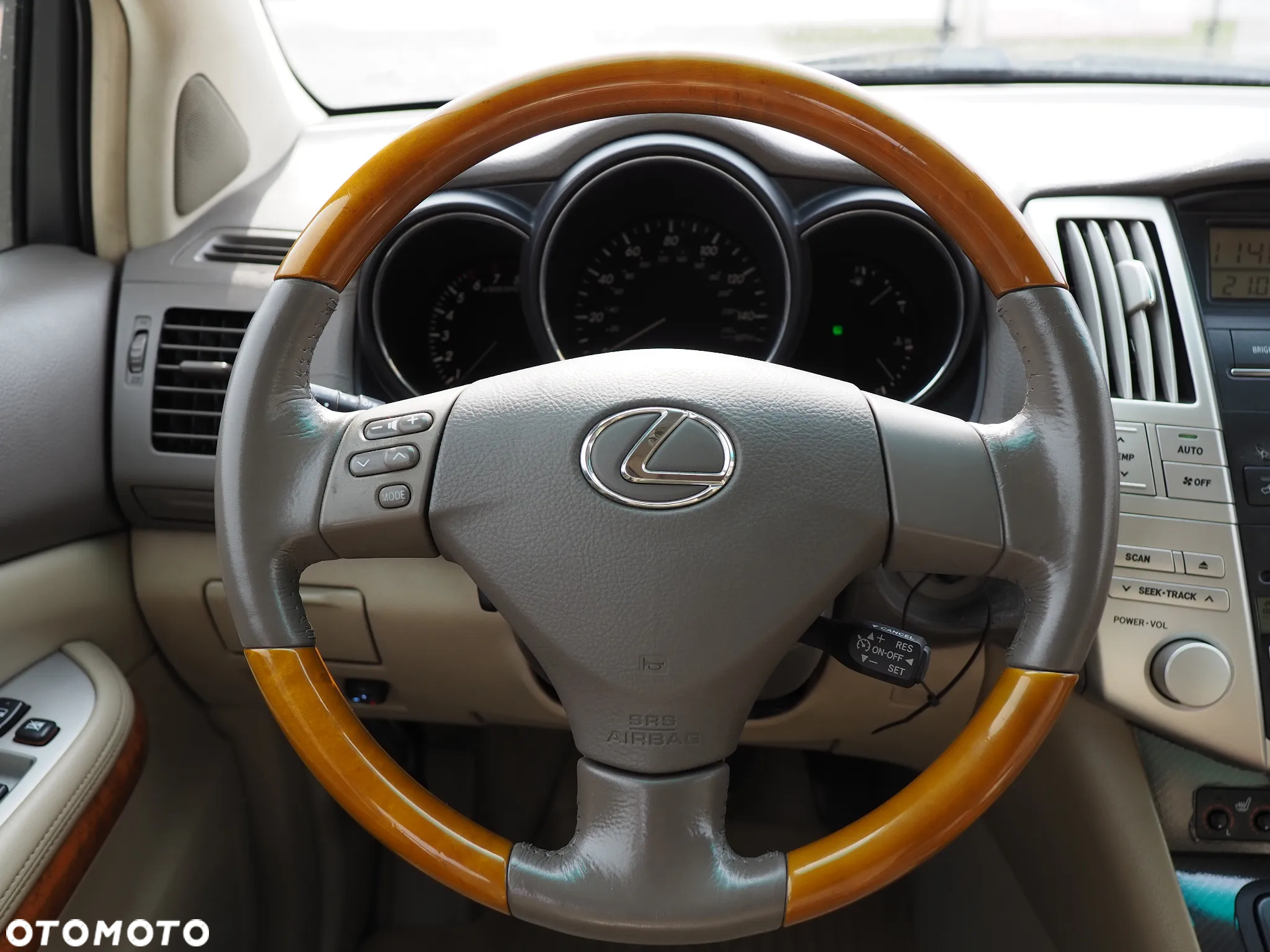 Lexus RX - 26
