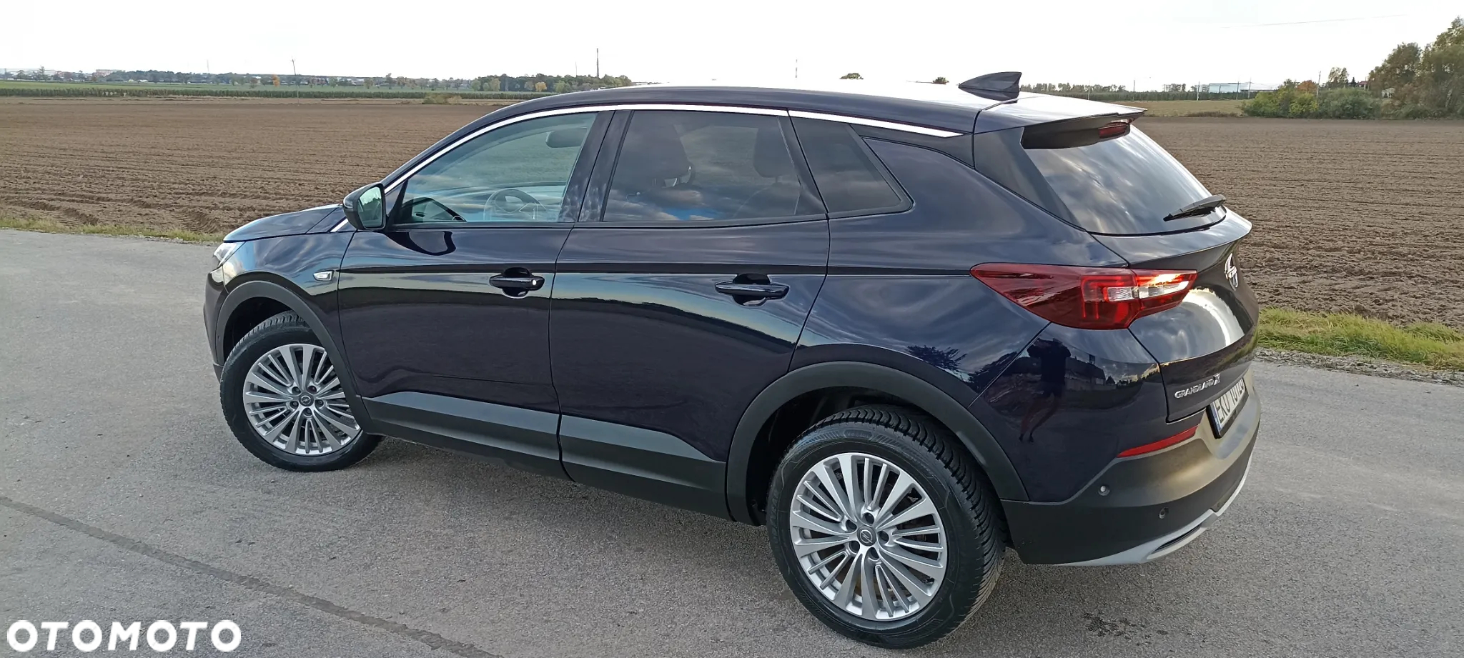 Opel Grandland X 1.2 T GPF Design Line S&S - 8