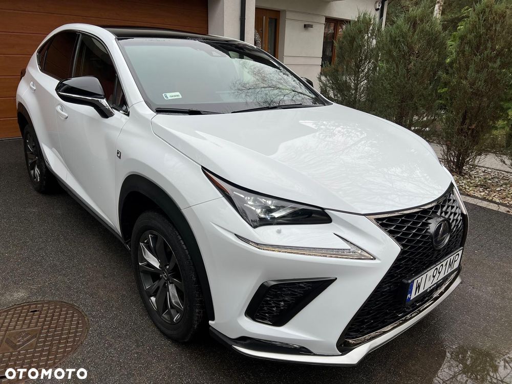 Lexus NX 300h F Sport Edition AWD - 6