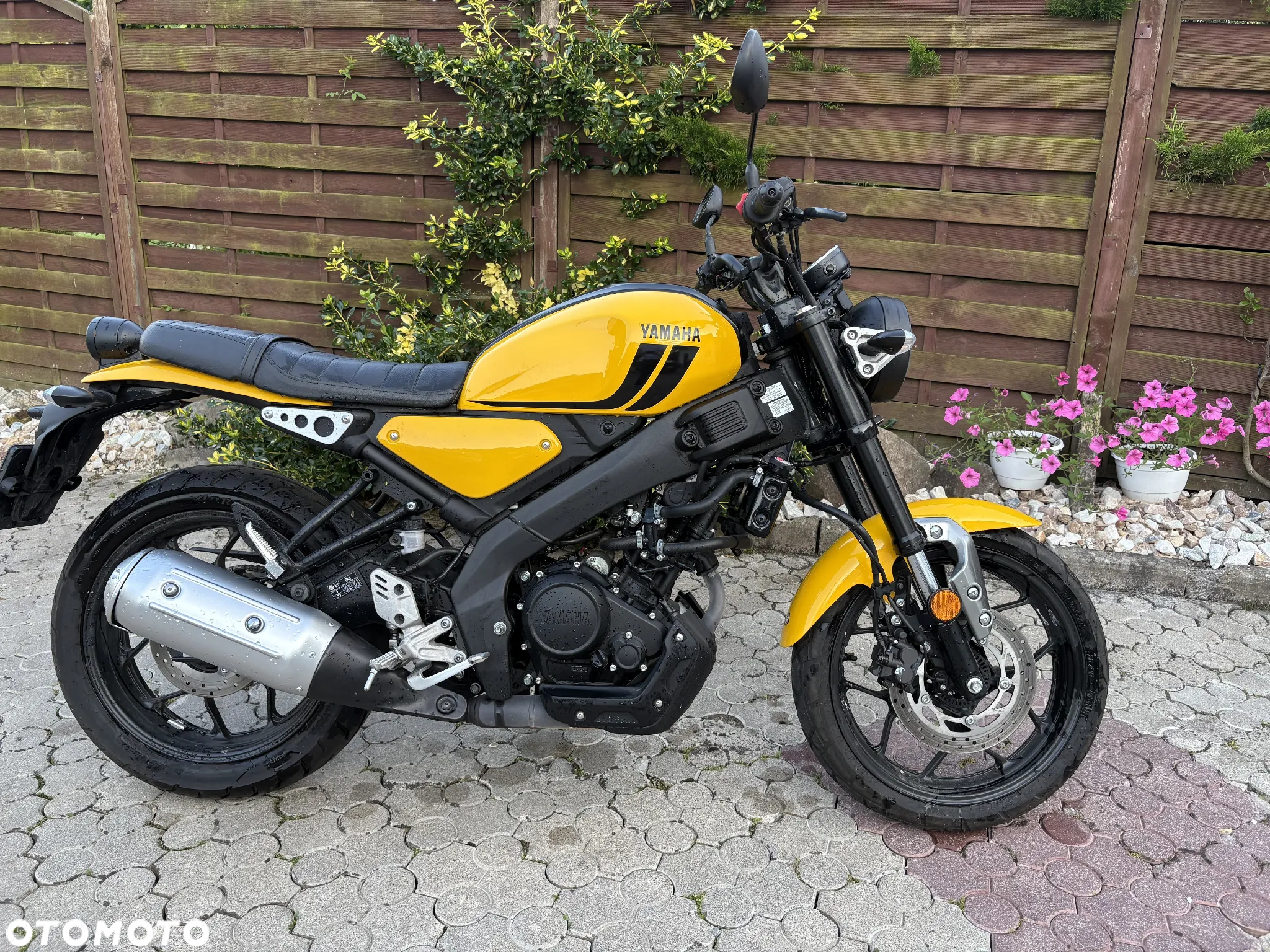 Yamaha XSR - 3