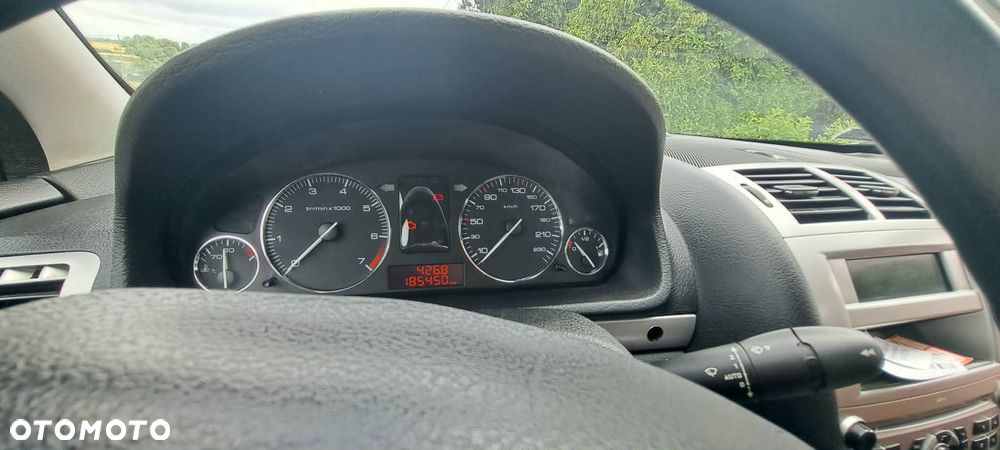 Peugeot 407 - 8