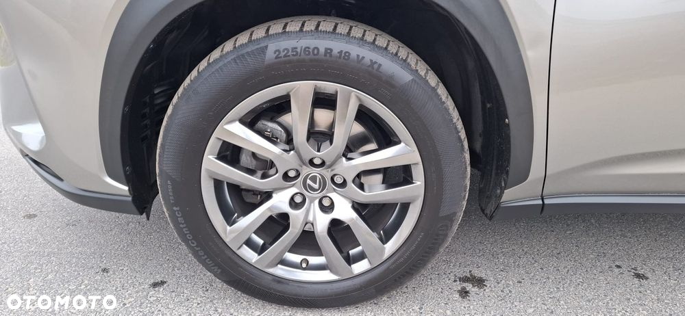 Lexus NX 300h - 12