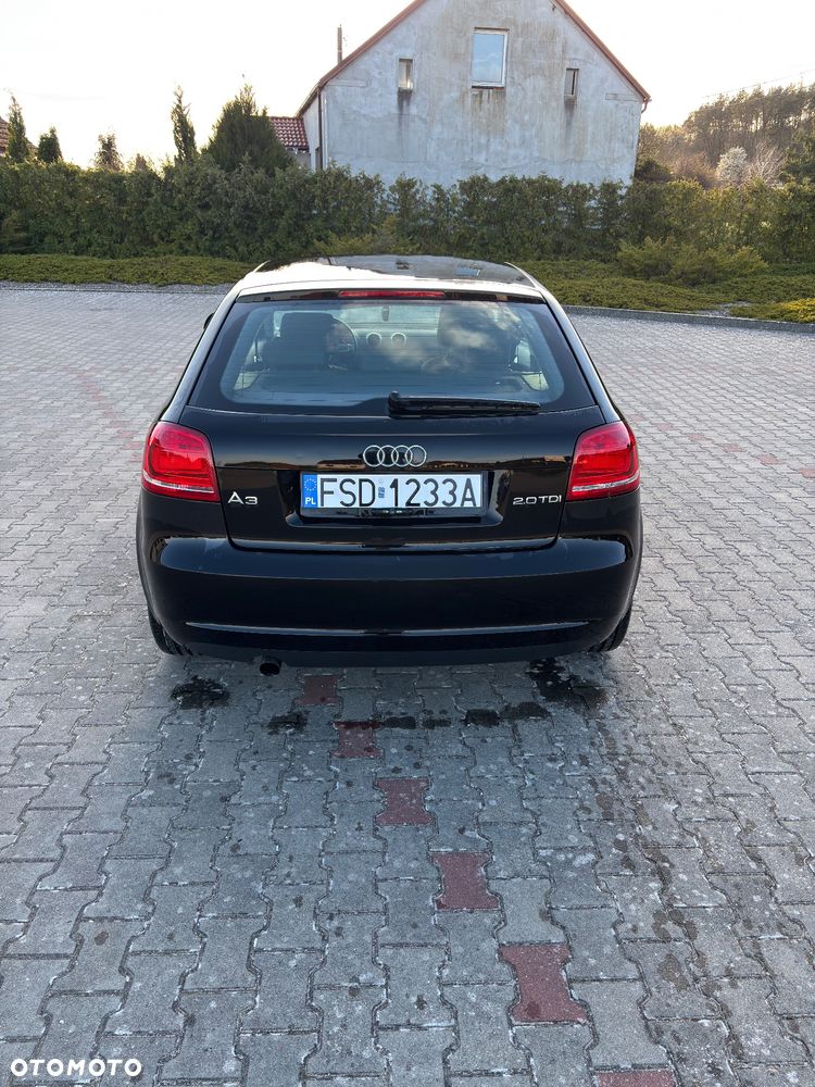 Audi A3 3-drzwiowe 2.0 TDI Ambition - 3