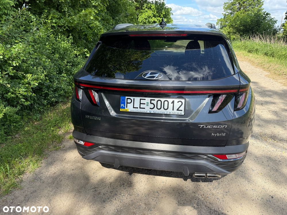 Hyundai Tucson 1.6 T-GDi 48V Executive 4WD DCT - 16