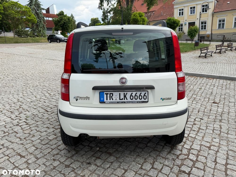 Fiat Panda - 5