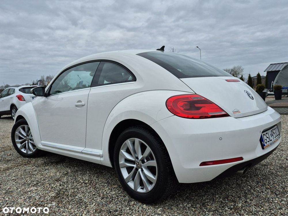 Volkswagen Beetle - 25