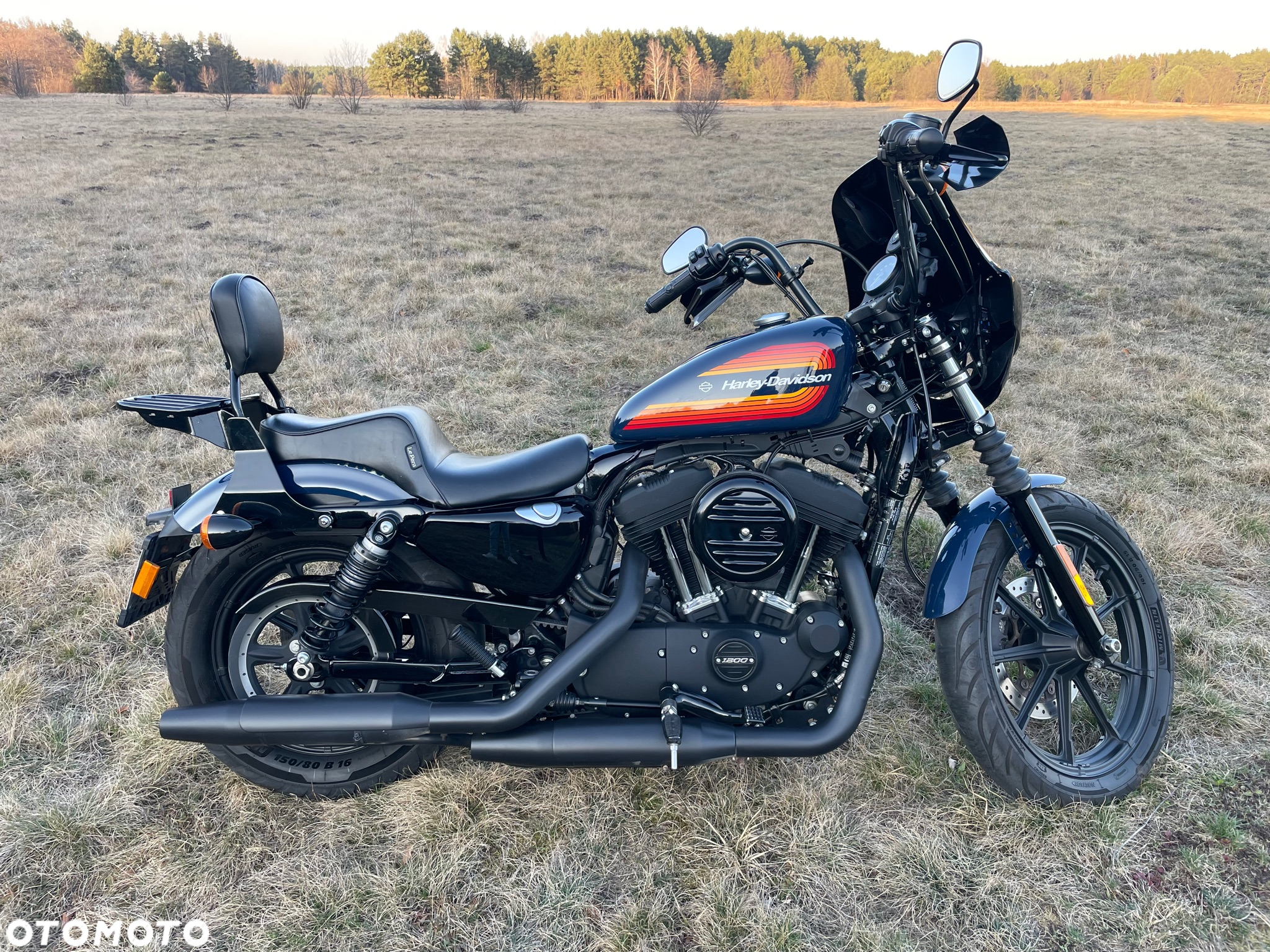 Harley-Davidson Sportster Iron 1200 - 10