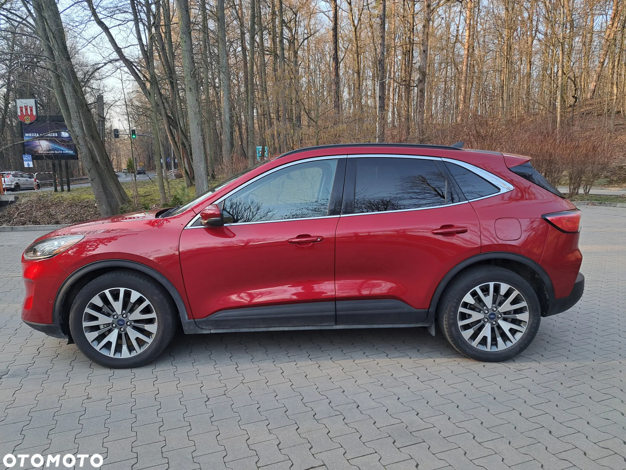 Ford Escape - 7