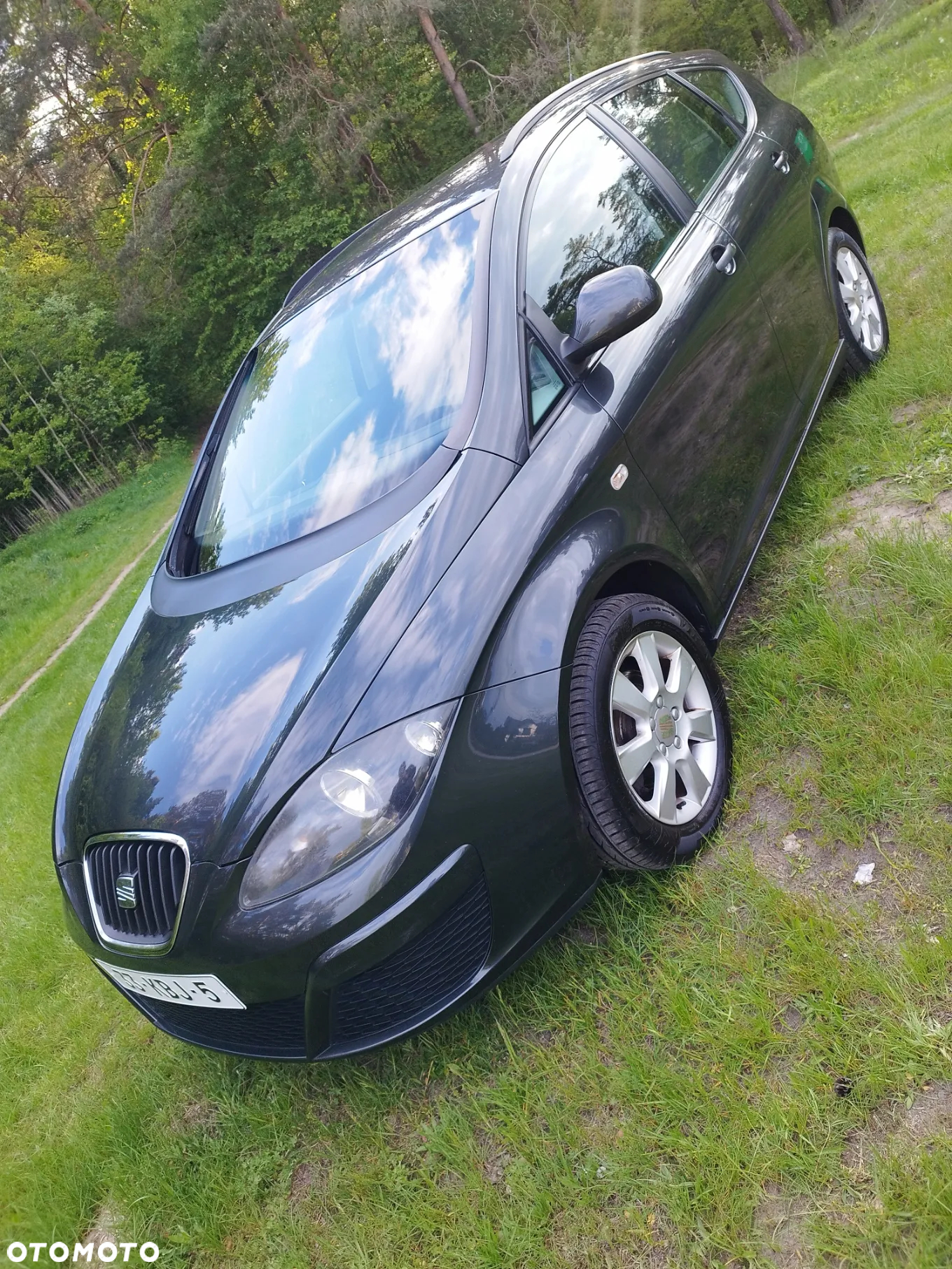 Seat Altea XL - 18