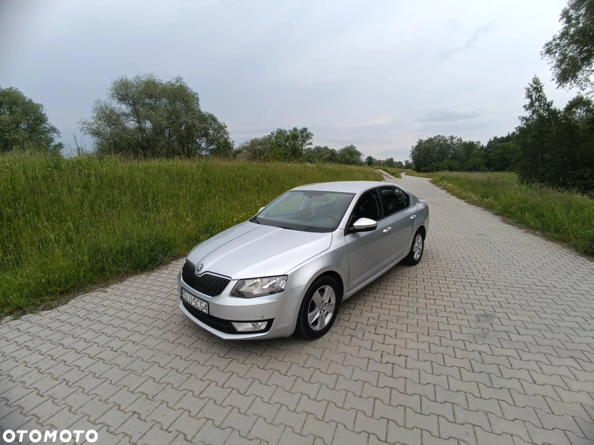 Skoda Octavia 1.6 TDI Ambition - 1