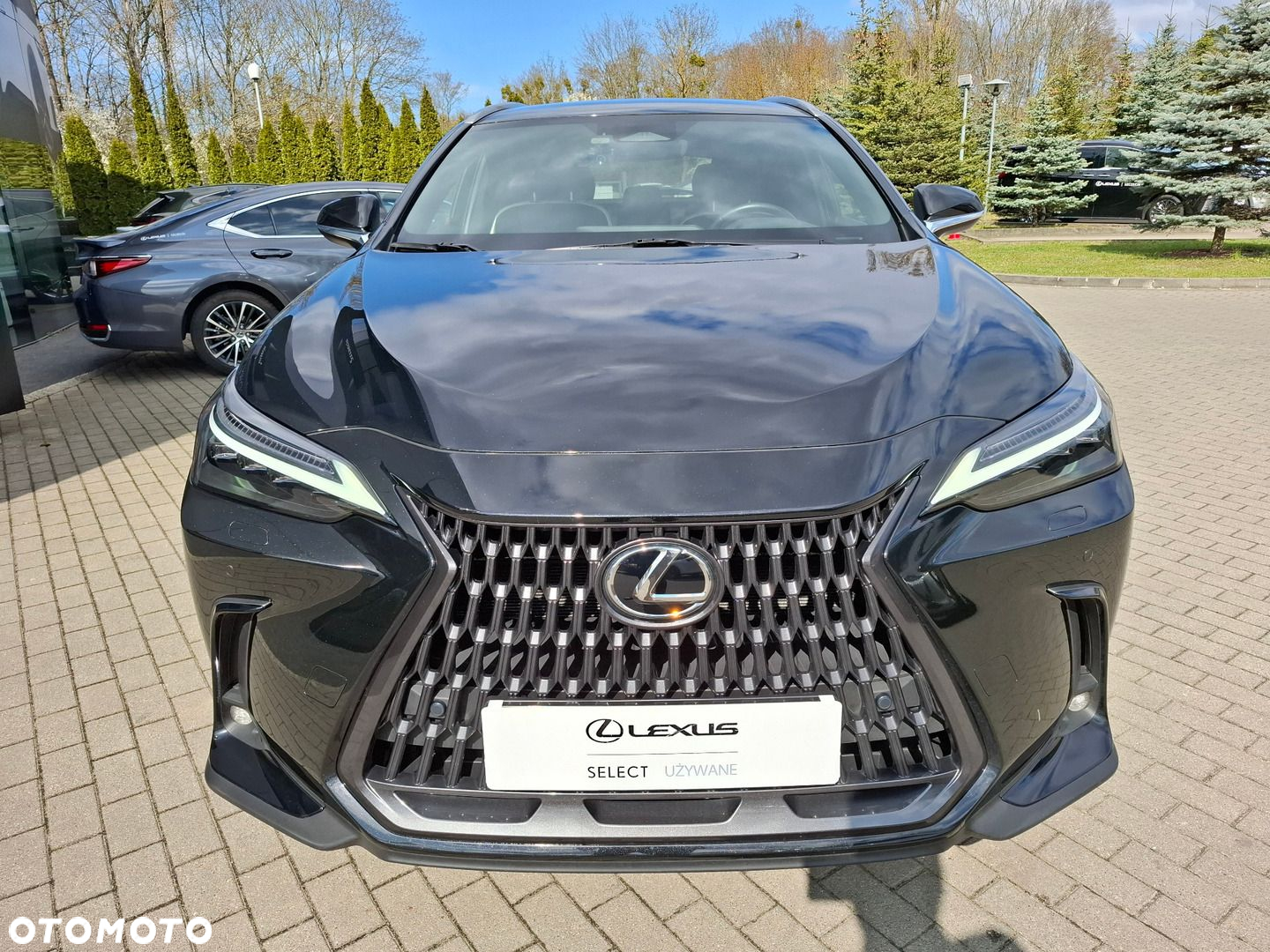 Lexus NX - 8