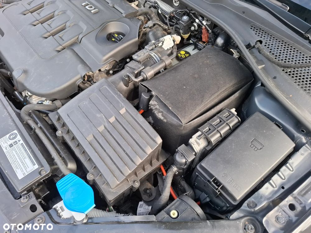 Volkswagen Golf - 27