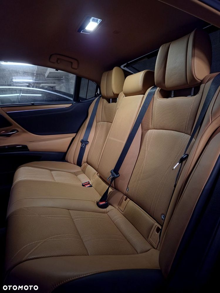 Lexus ES 300h Omotenashi - 21