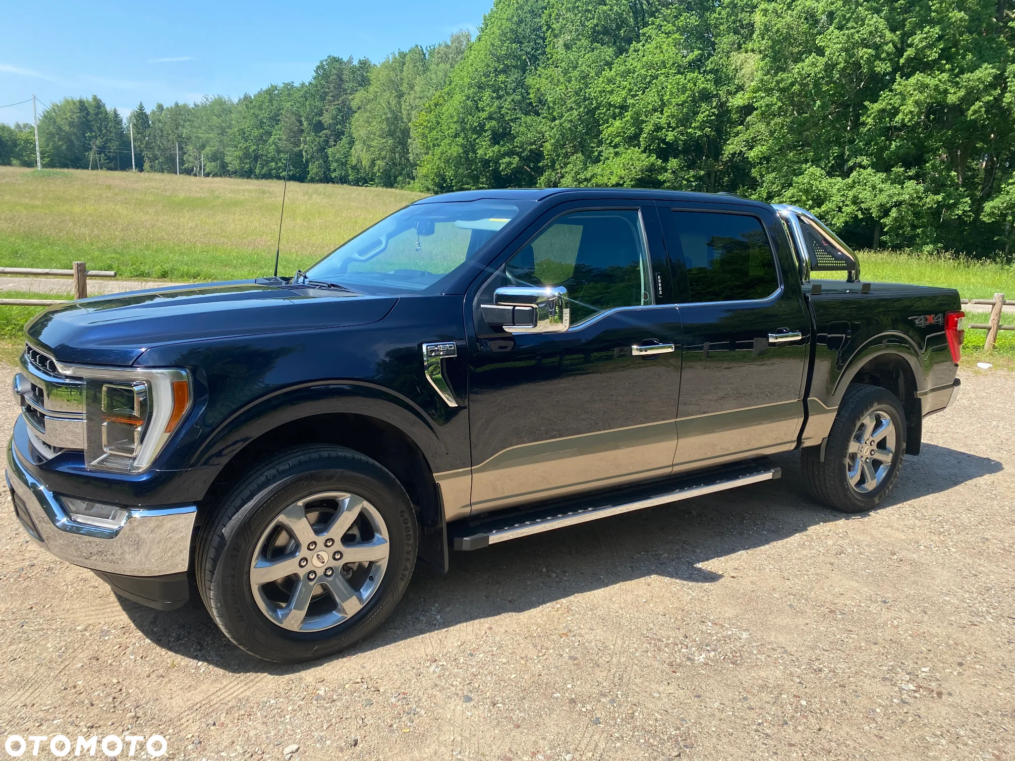 Ford F150 - 5