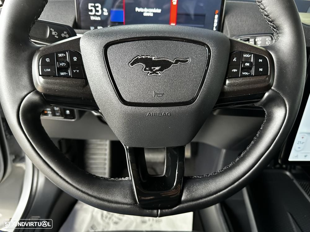 Ford Mustang Mach-E Standard - 25