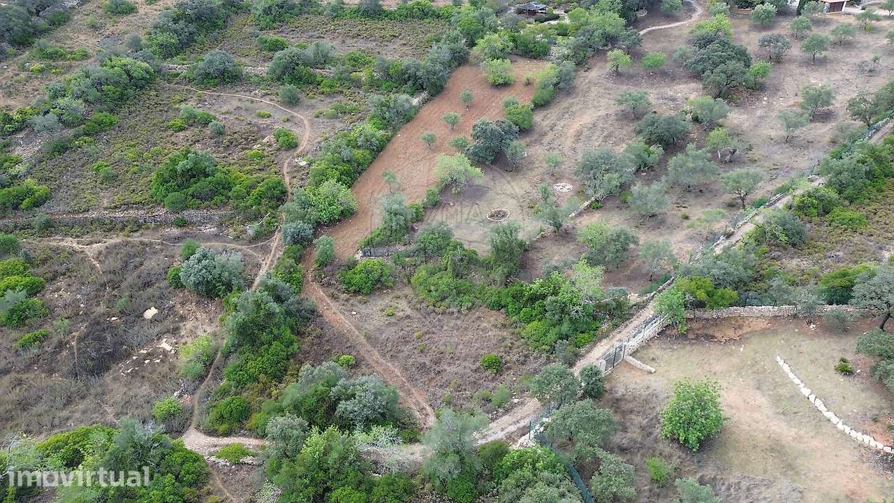 Terreno  para venda - Grande imagem: 5/5
