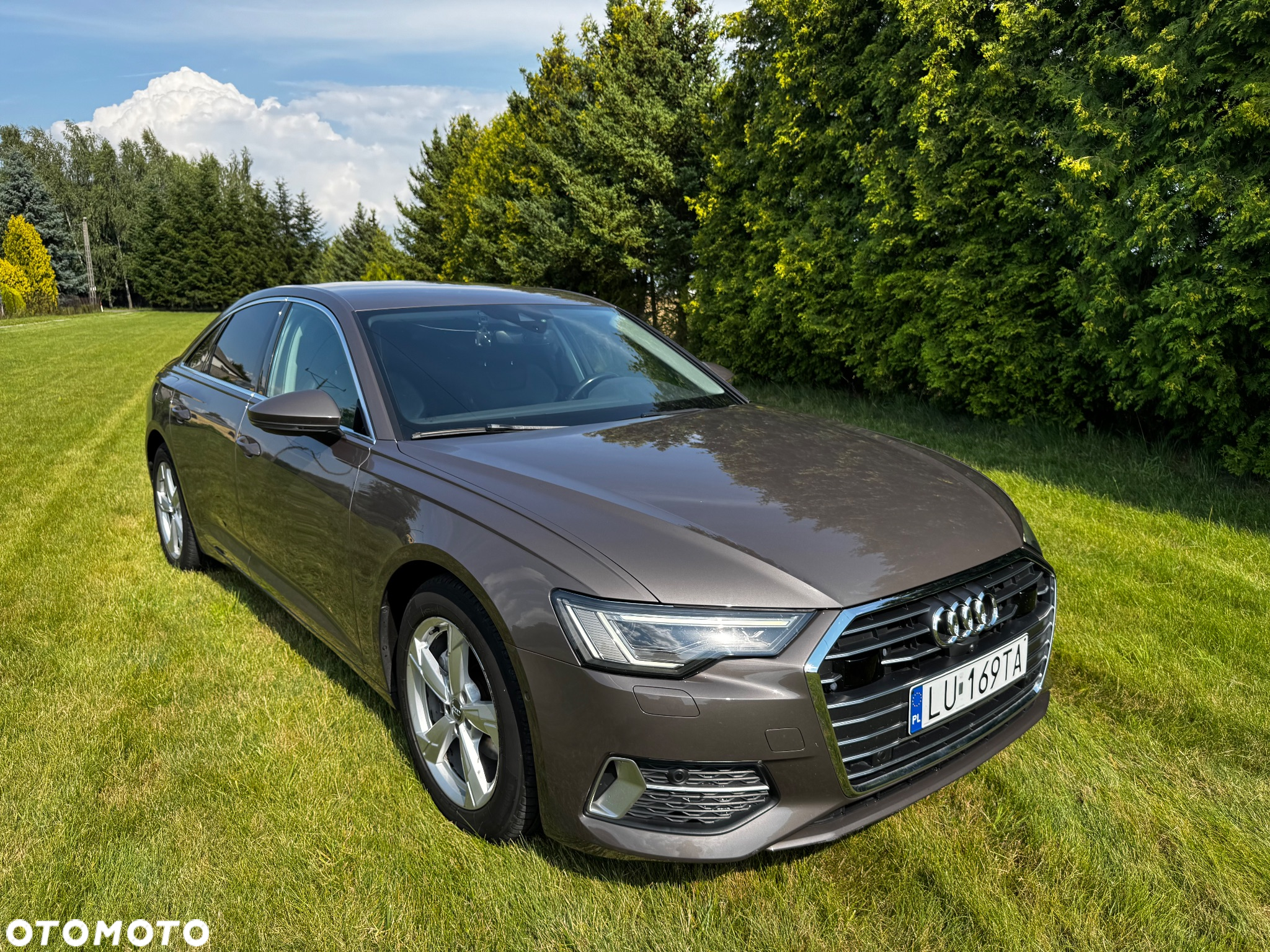 Audi A6 2.0 TDI ultra S tronic - 13