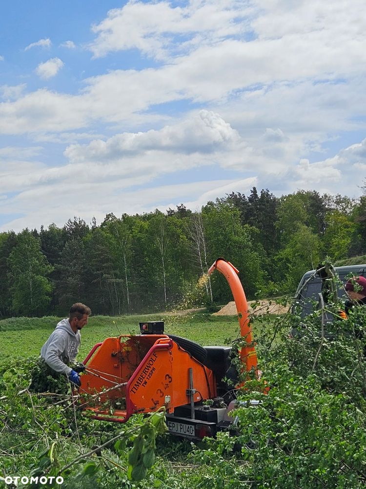 Inny Timberwolf TW 125PH - 9