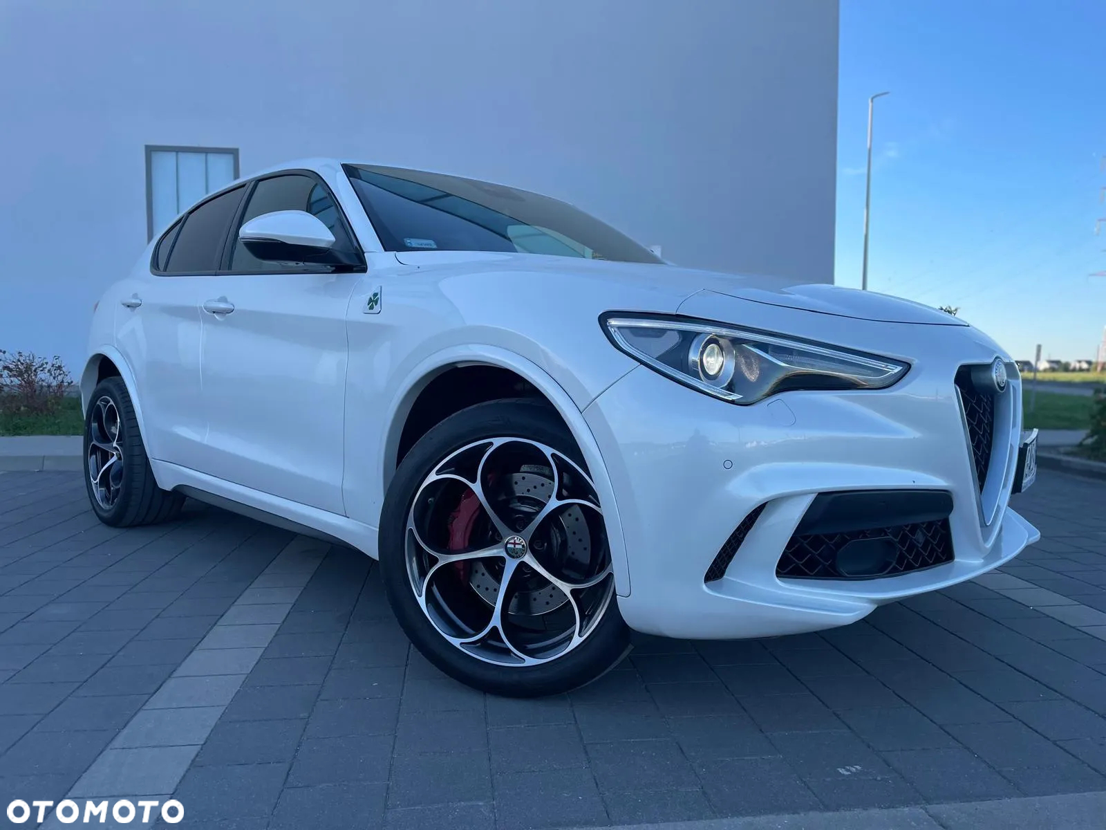 Alfa Romeo Stelvio 2.9 V6 Bi-Turbo Quadrifoglio Q4 - 3