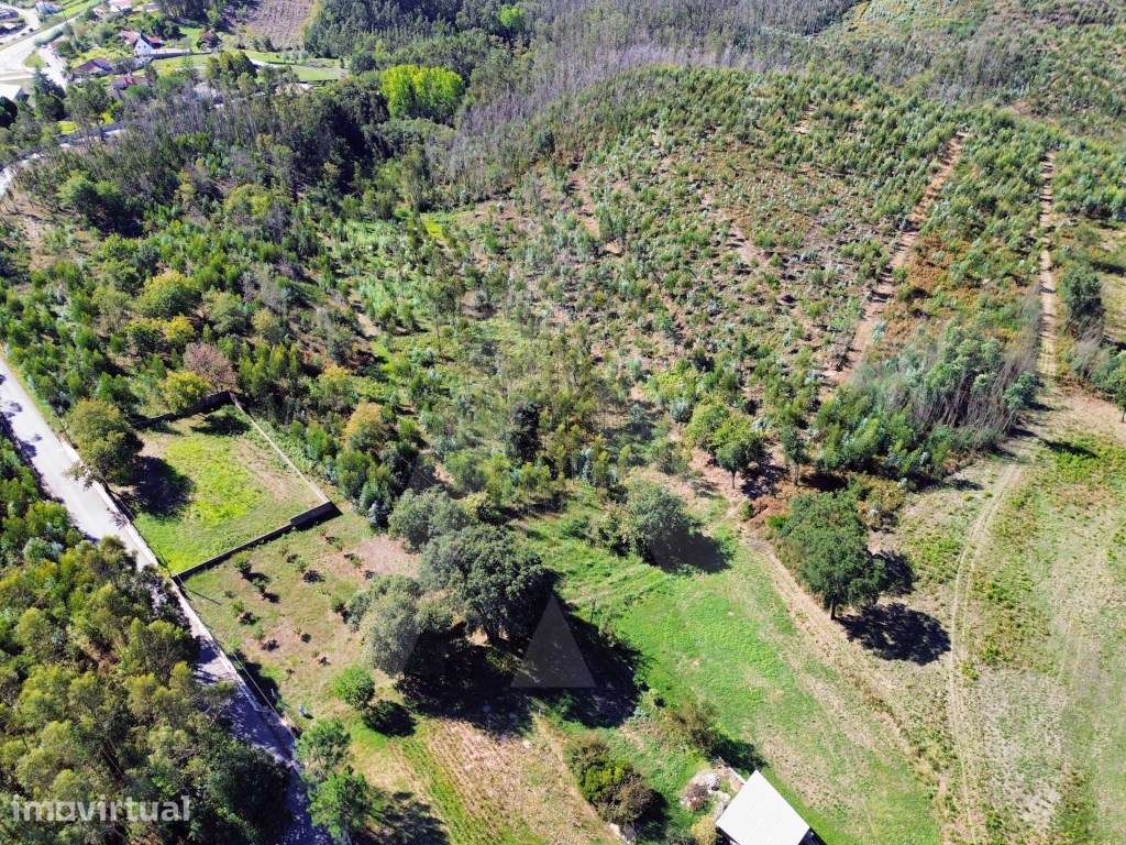 Terreno em Serém de Cima - Macinhata do Vouga - Grande imagem: 2/13
