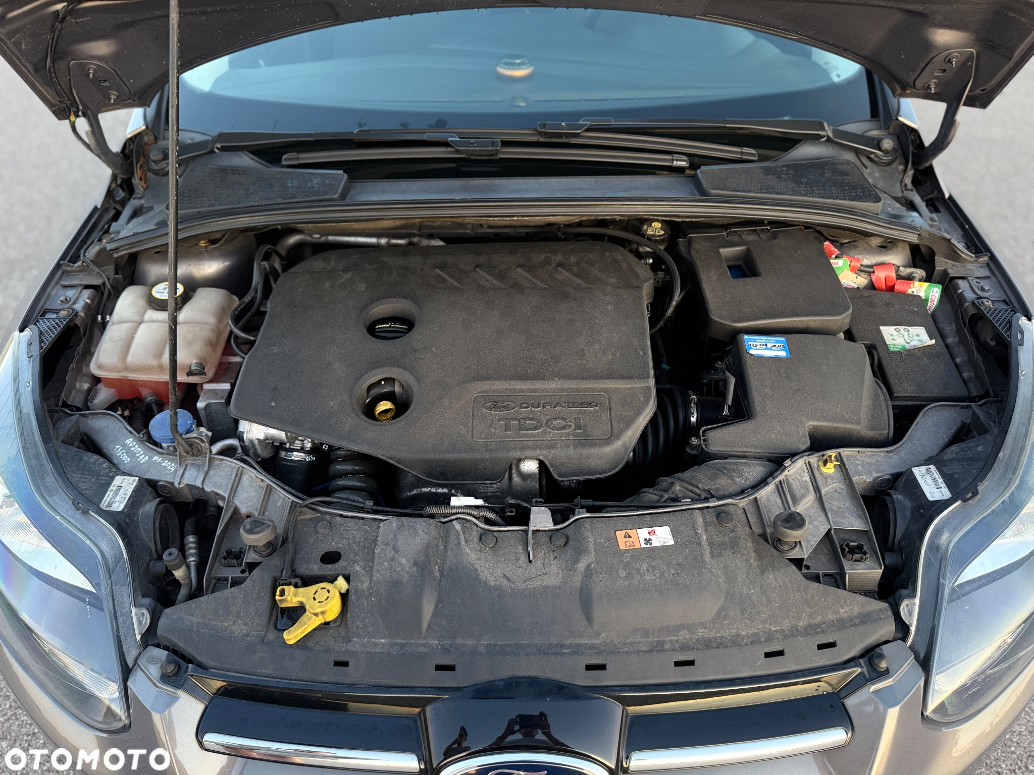 Ford Focus 1.6 TDCi DPF Start-Stopp-System Business - 15