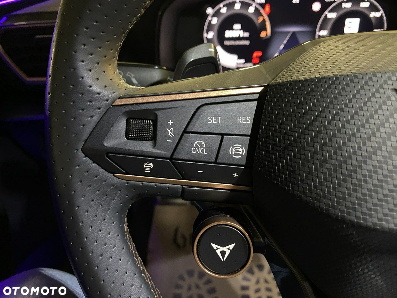 Cupra Formentor - 19