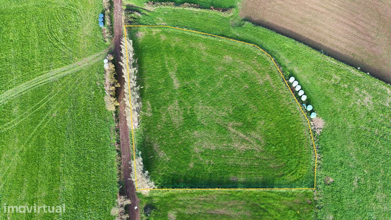 Terreno Rústico na Lomba da Fazenda – Grande Potencial - Grande imagem: 4/6