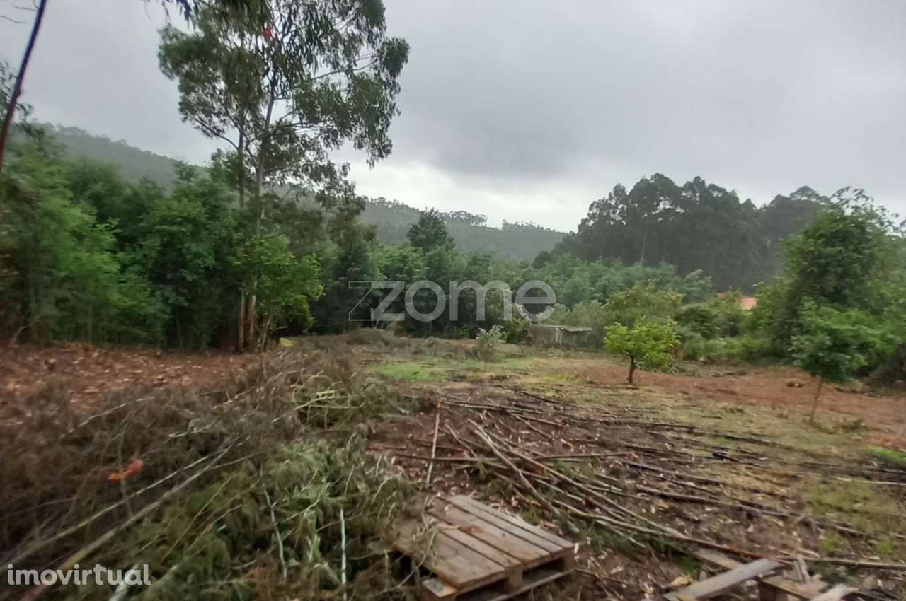 Terreno, 1 350 m², Luso - Grande imagem: 5/15