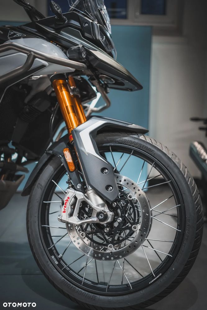 Triumph Tiger - 13