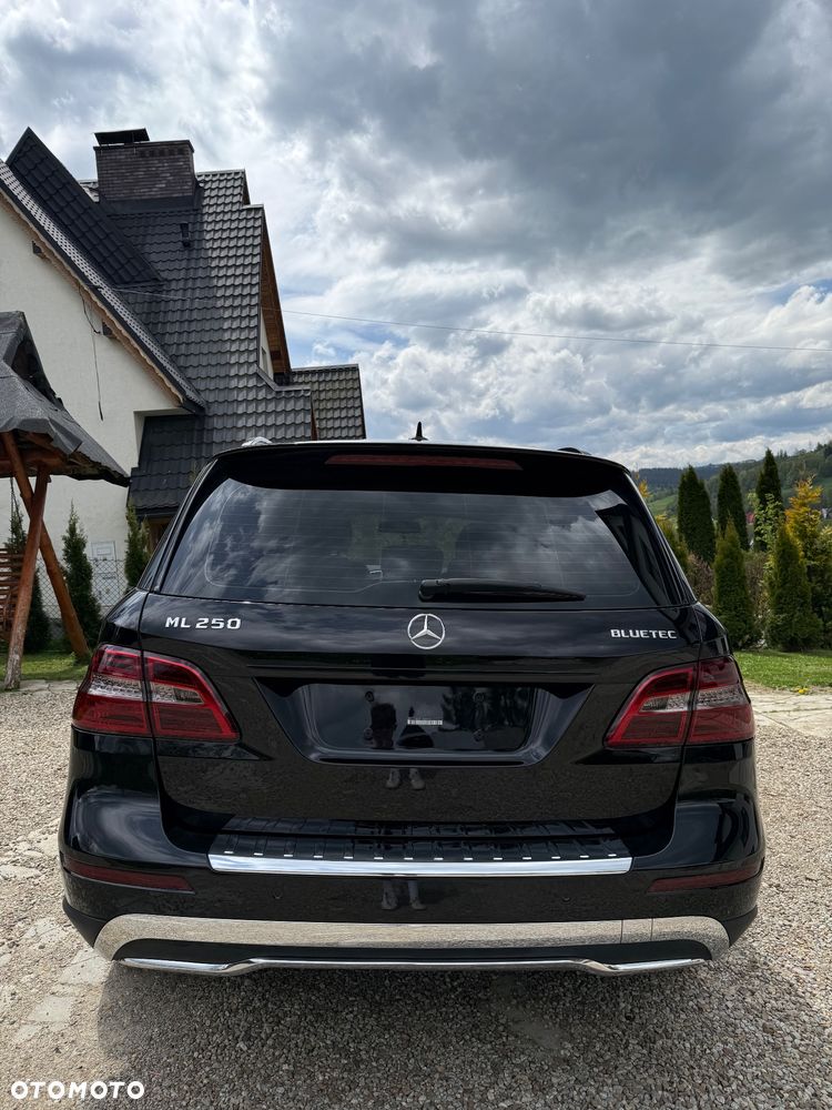 Mercedes-Benz ML 250 BlueTEC 4MATIC 7G-TRONIC Edition 1 - 6