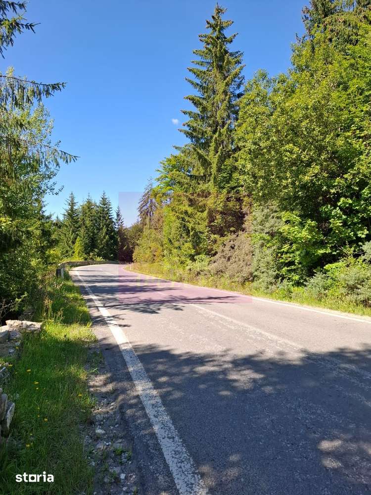 Teren de vânzare în zona Cota 1000 – Sinaia - Imagine principală: 3/10